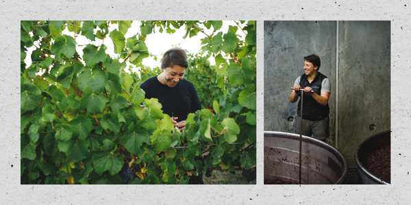 Celebrating 10 Years with Winemaker Chloe